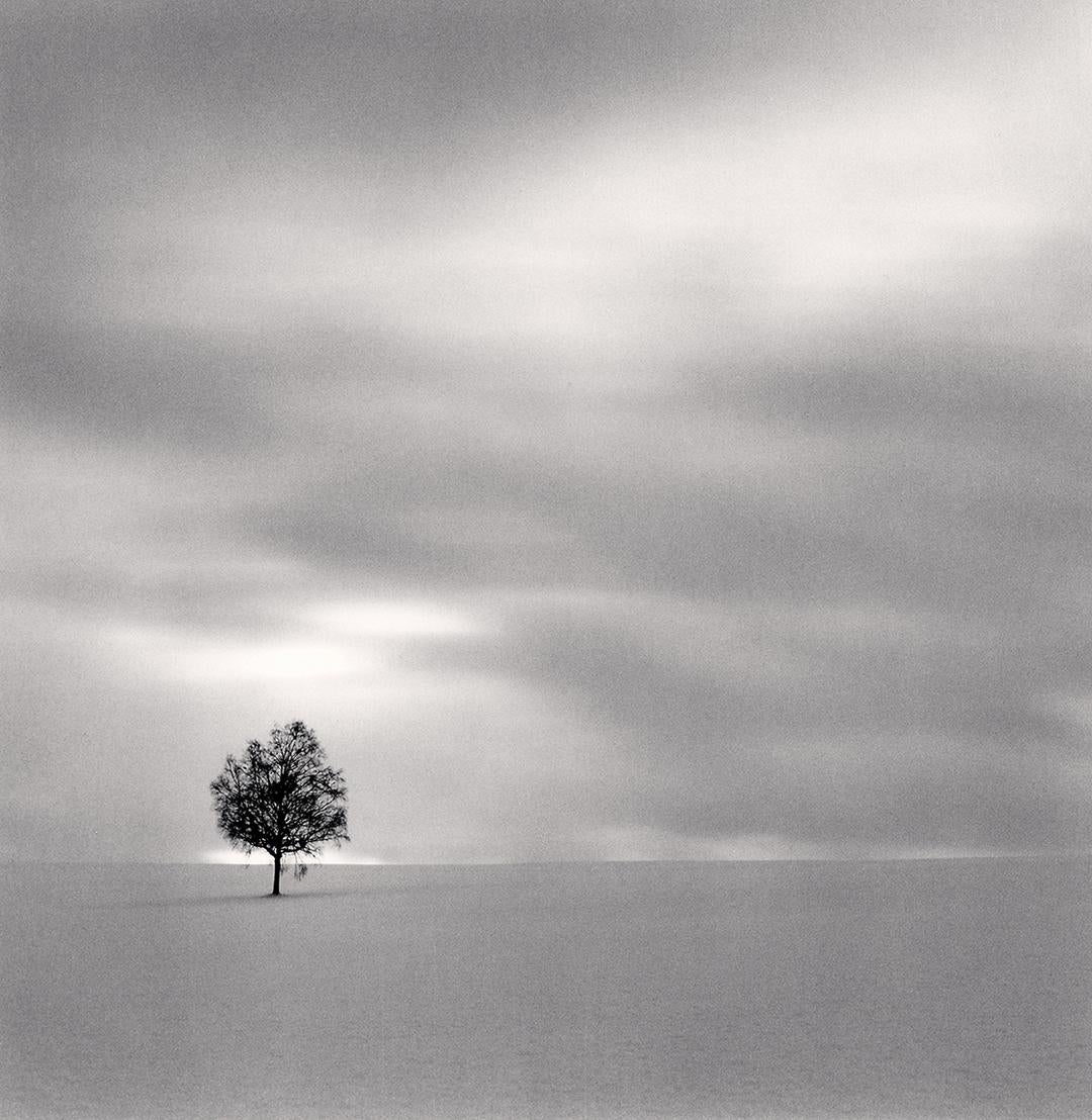 Michael Kenna Black and White Photograph – Dämmerungsbaum, Higashi Kagura, Hokkaido, Japan