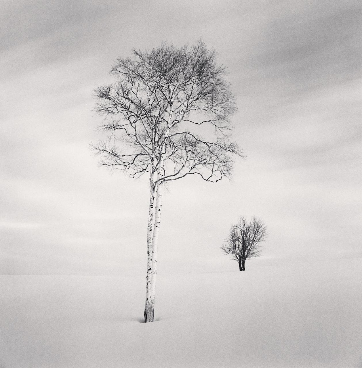 Michael Kenna Landscape Photograph - Twin Shirakanbas, Sorachi, Hokkaido, Japan, limited edition photograph 