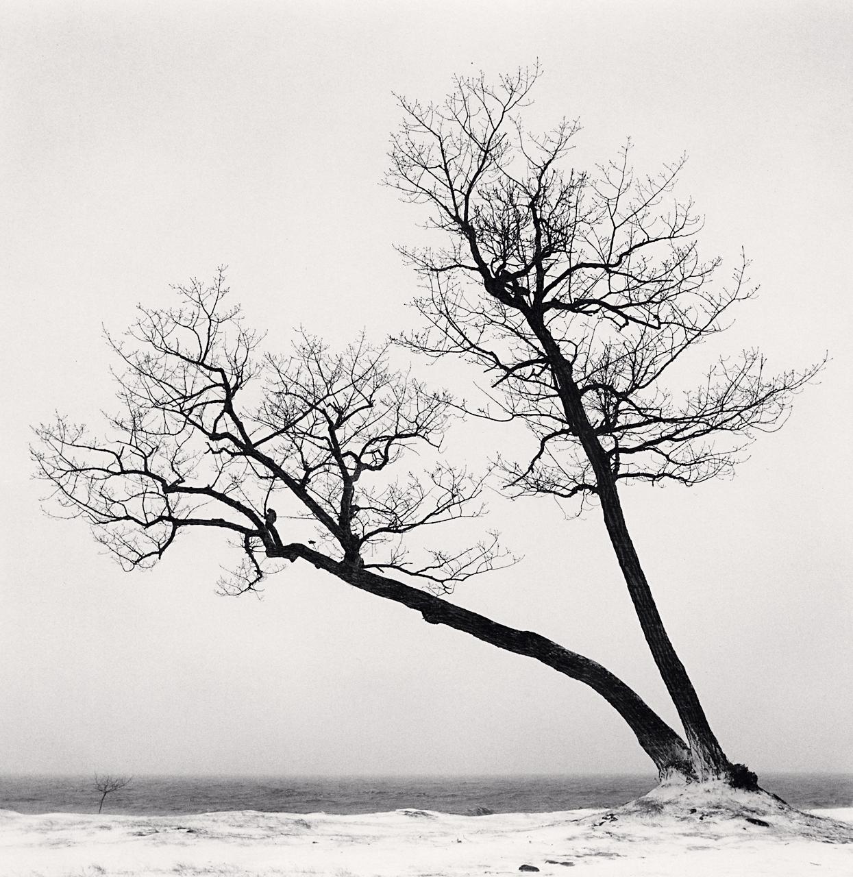 Michael Kenna Black and White Photograph –  Erhabene Bäume, Studie 2, Kussharo-See, Hokkaido, Japan 
