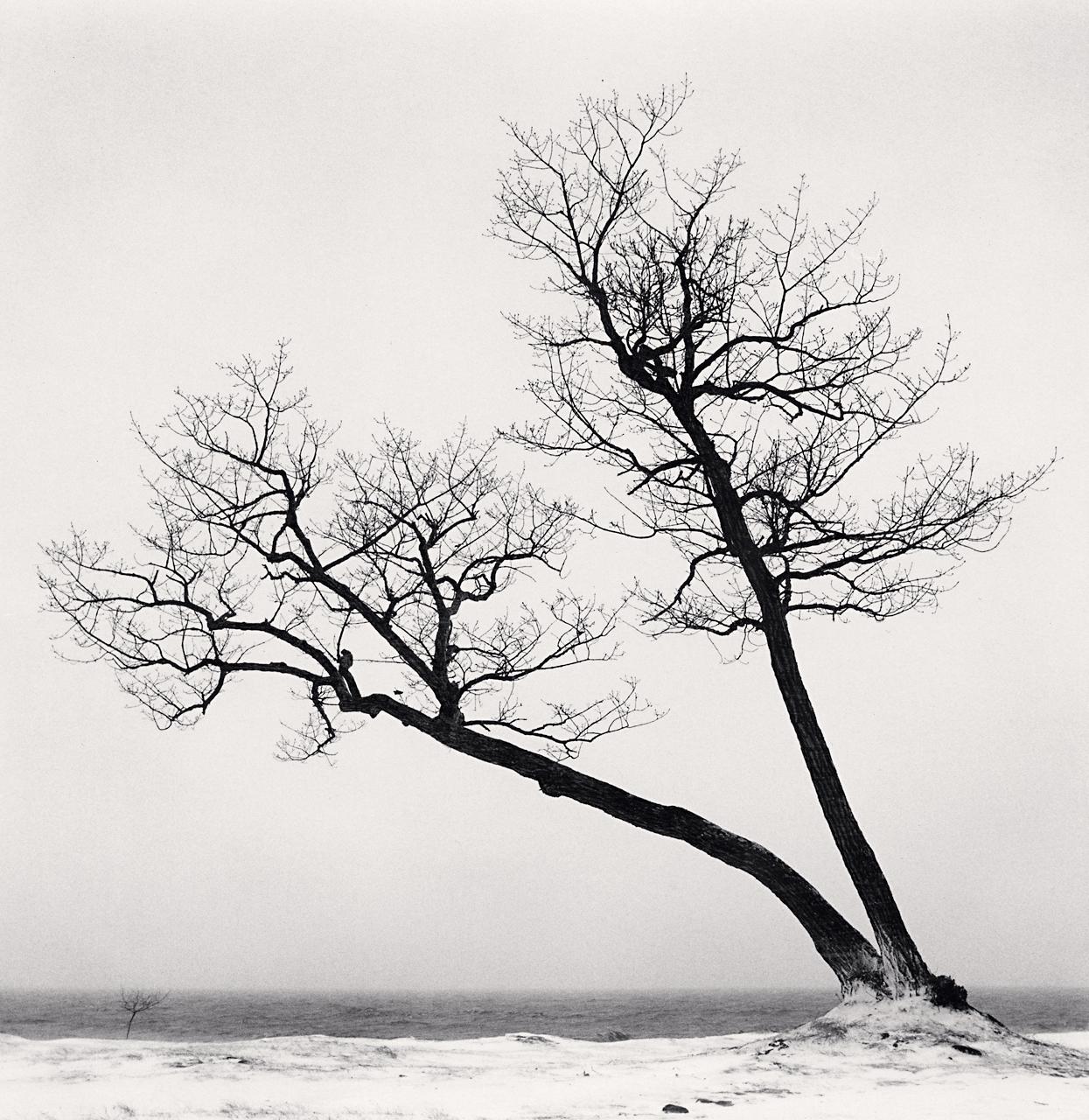 Black and White Photograph de Michael Kenna - Dos árboles inclinados, Estudio 2, Lago Kussharo, Hokkaido, Japón