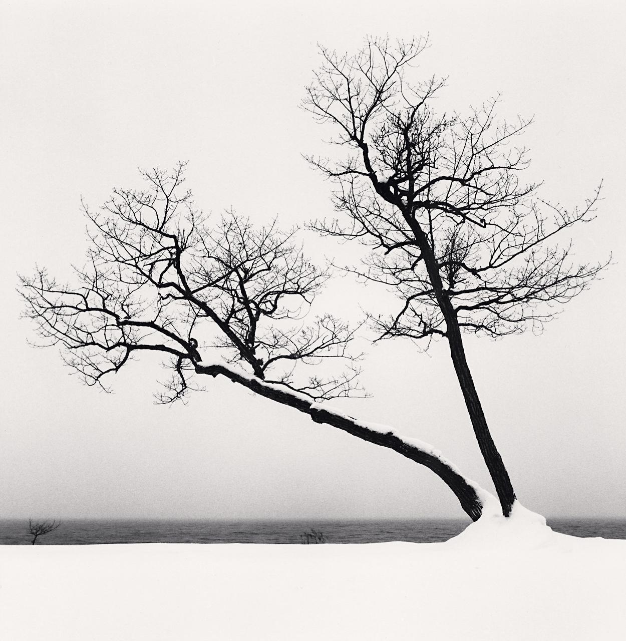 Michael Kenna Black and White Photograph – Erhabene Bäume, Studie 3, Kussharo-See, Hokkaido, Japan