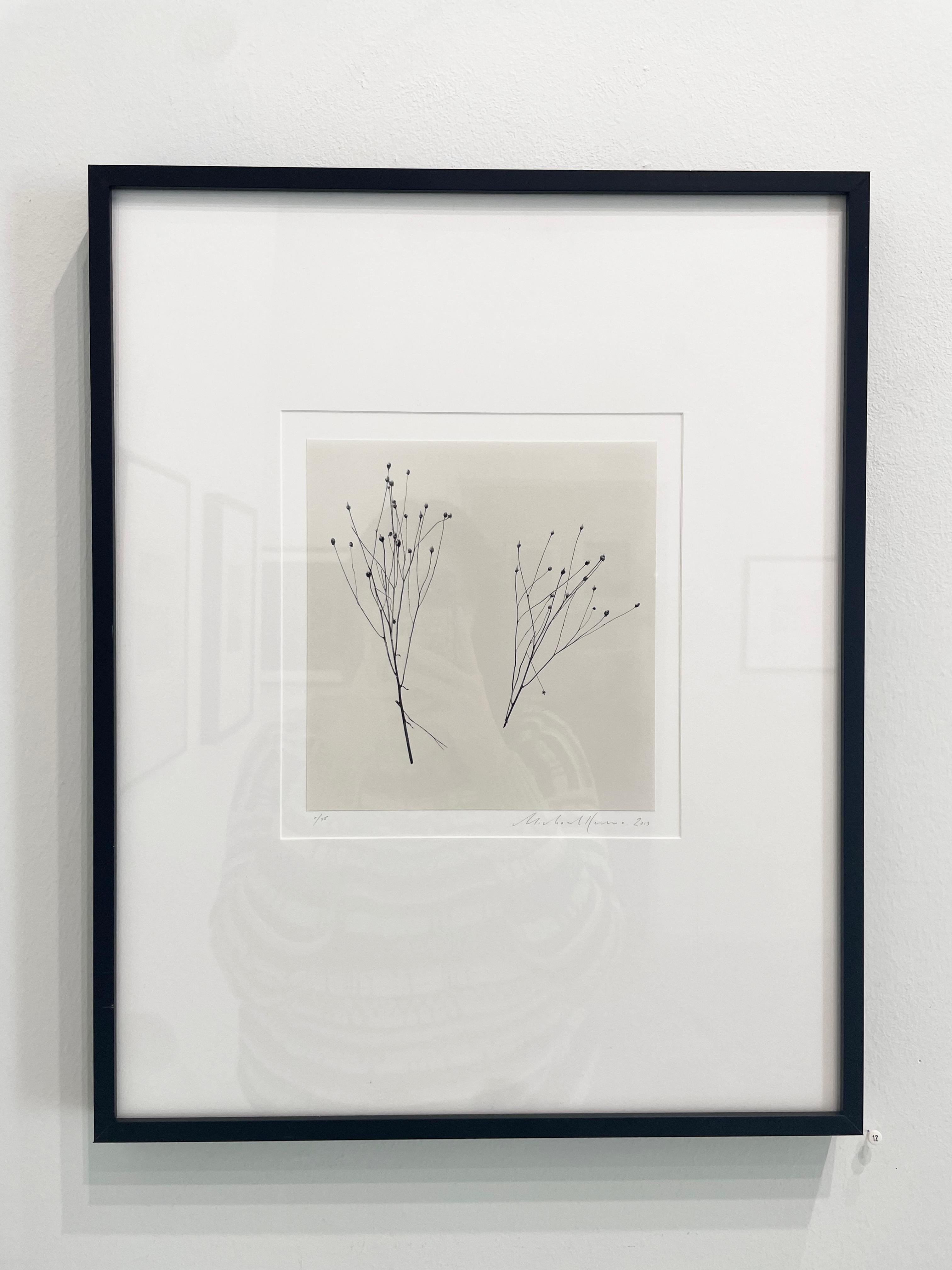 Edition of 45
Signed, titled, negative date, print date, and numbered by Michael Kenna
Sepia toned gelatin silver print

Michael Kenna's black and white photographs are powerful and alluring. His imagery transports you to iconic and placid