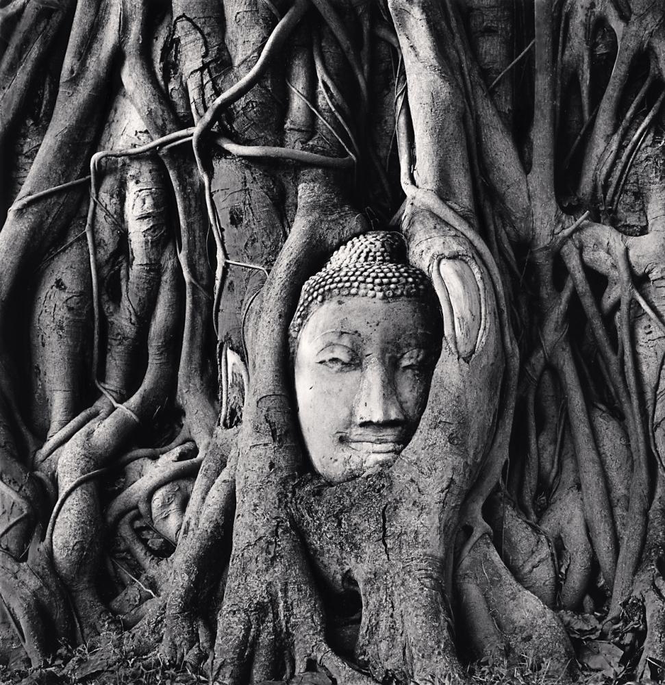 Michael Kenna Black and White Photograph - Wat Mahathat Buddha Head, Ayutthaya, Thailand