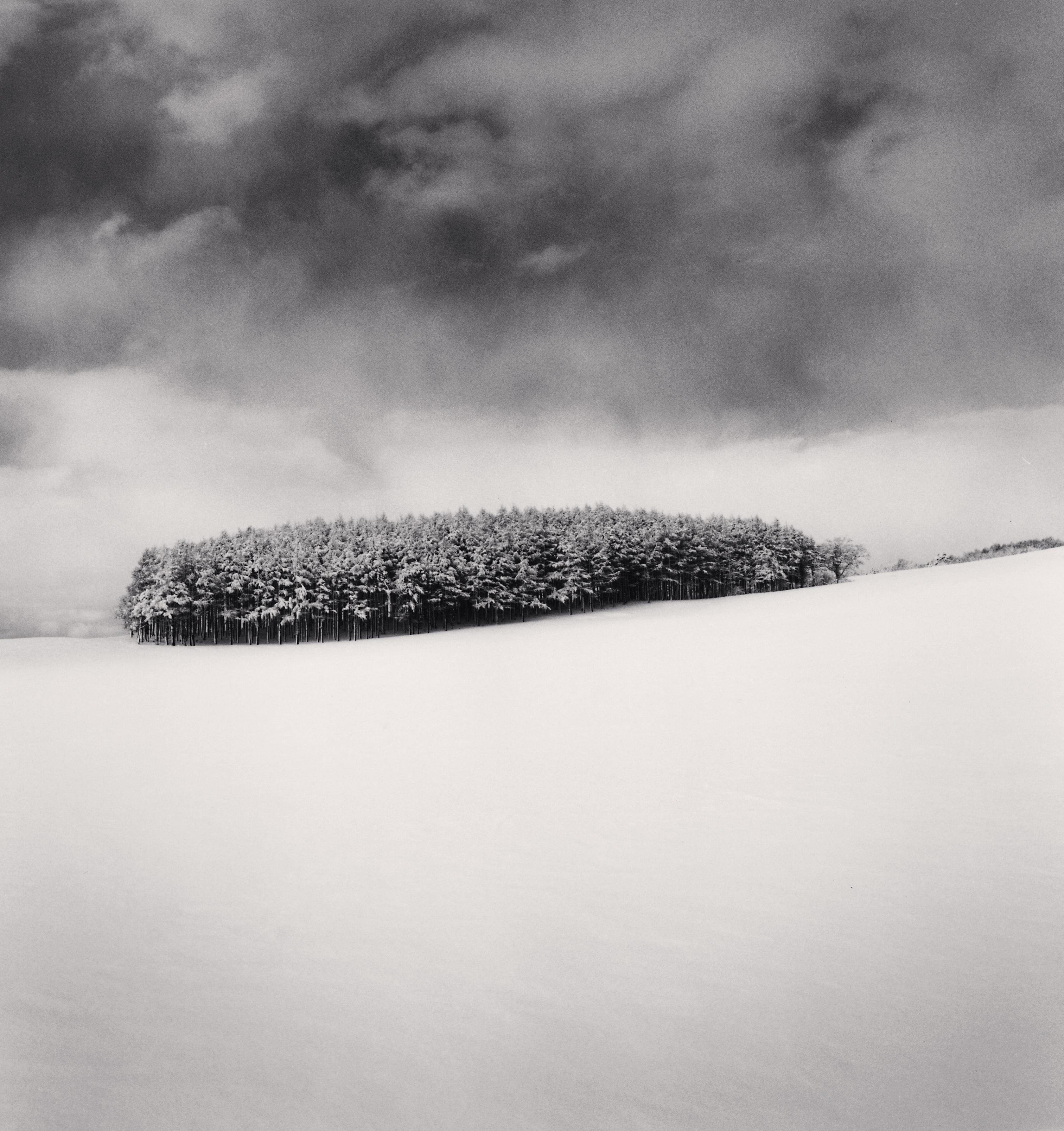 Michael Kenna Black and White Photograph – White Copse, Studie 2, Wakkanai, Hokkaido