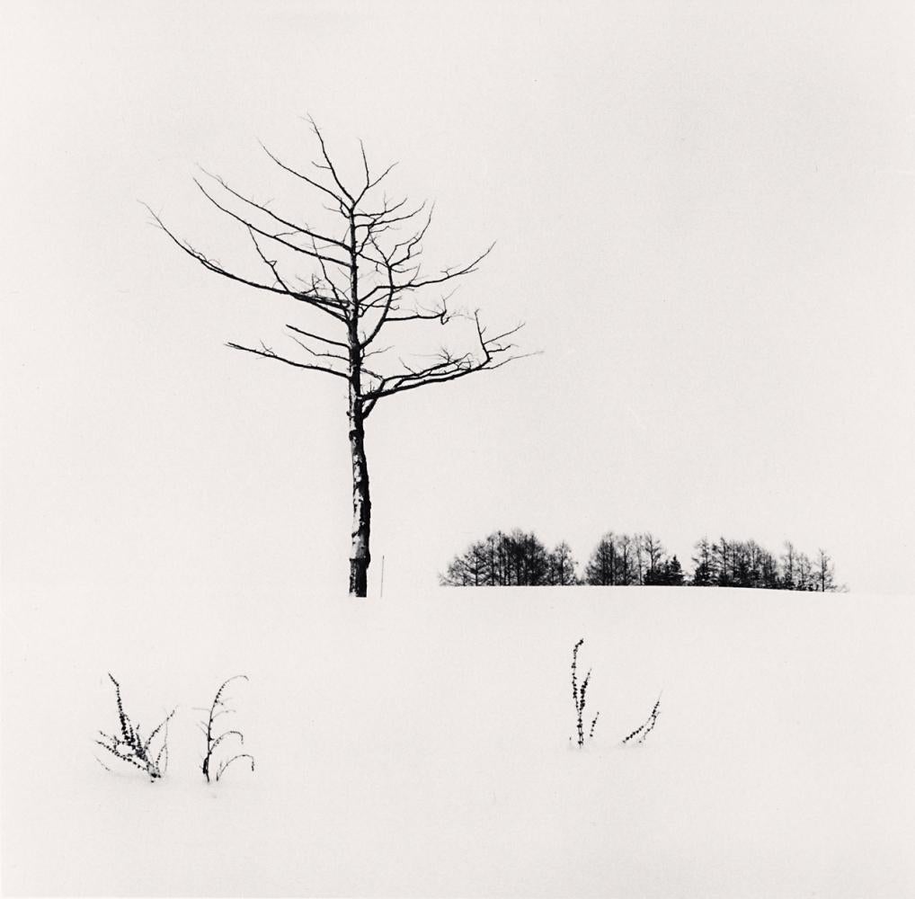 Michael Kenna Landscape Photograph - White Landscape, Abashiri, Hokkaido, Japan