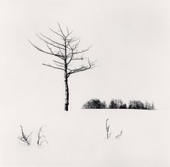 Paesaggio bianco, Abashiri, Hokkaido, Giappone