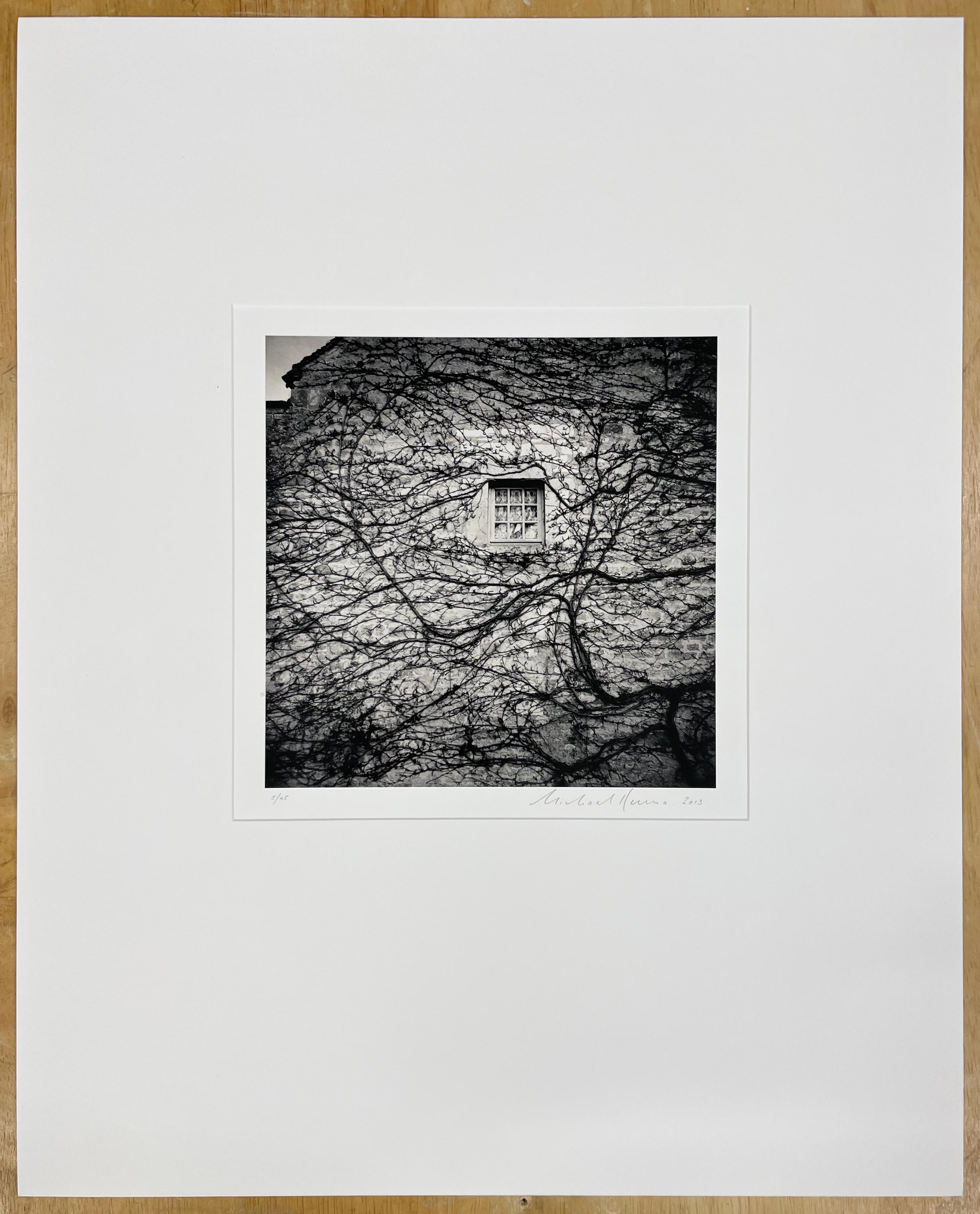 Ventana y viñas, Abbaye de Fontenay, Borgoña, Francia - Fotografía en blanco y negro - Photograph de Michael Kenna