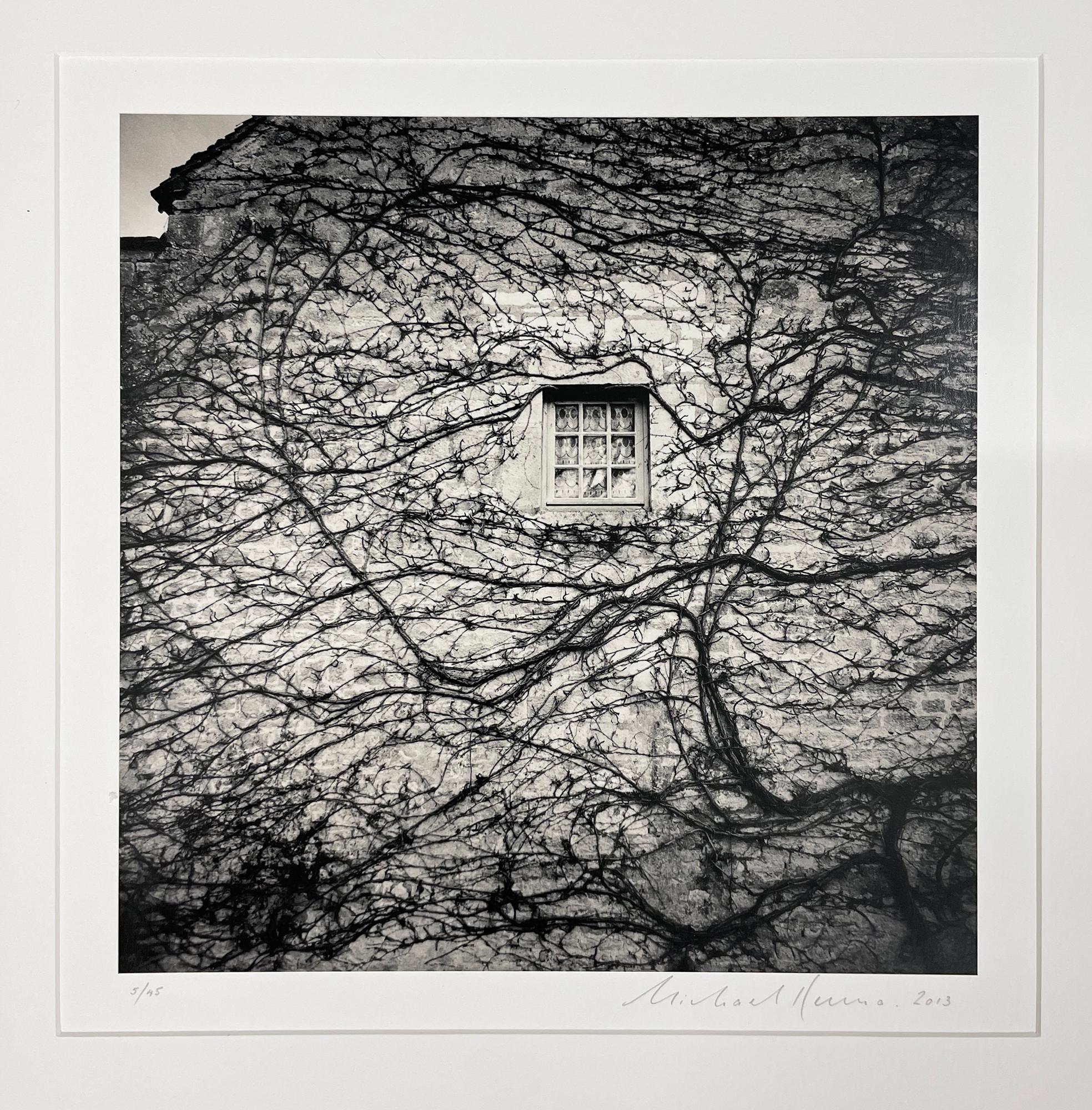 Ventana y viñas, Abbaye de Fontenay, Borgoña, Francia - Fotografía en blanco y negro - Photograph Contemporáneo de Michael Kenna