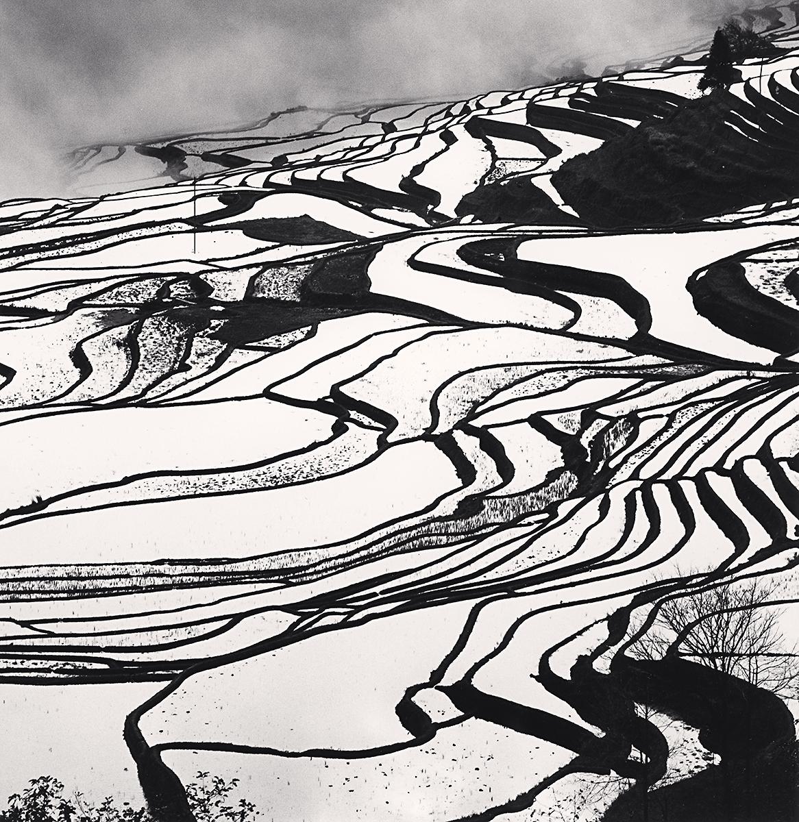 Michael Kenna Landscape Photograph – Yuanyang, Studie 6, Yunnan, China