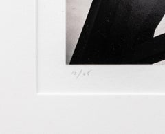 Michael Kenna "Golden Gate Bridge" Gelatin Print
