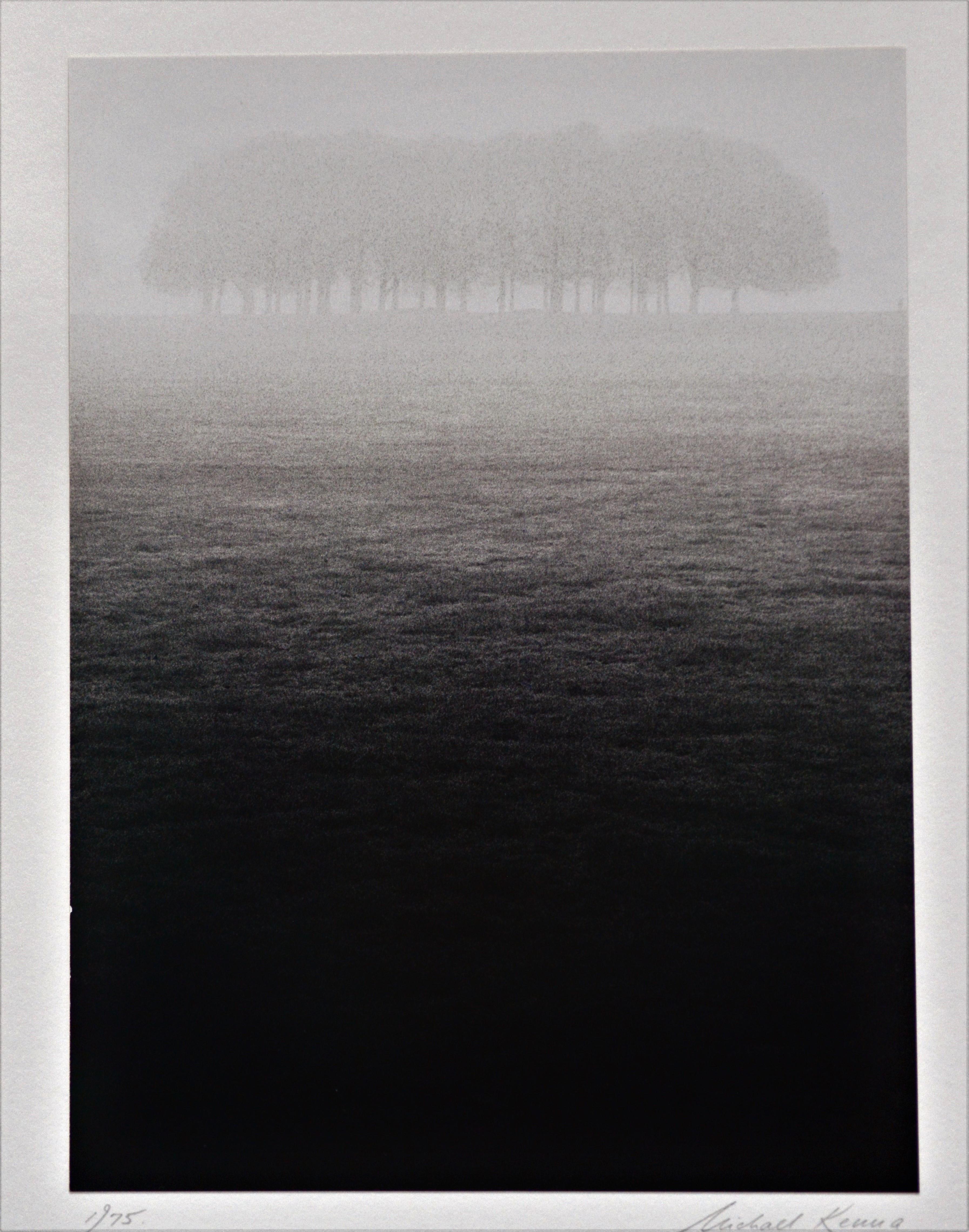 Michael Kenna (American/British, born 1953)
Title: Trees-Richmond-Surrey-England, 1975
Medium: Selenium tone gelatin silver print. 
Artist signed and dated in pencil. No. 43 of 90. Print Date: 1981.
Sheet size: 6.6