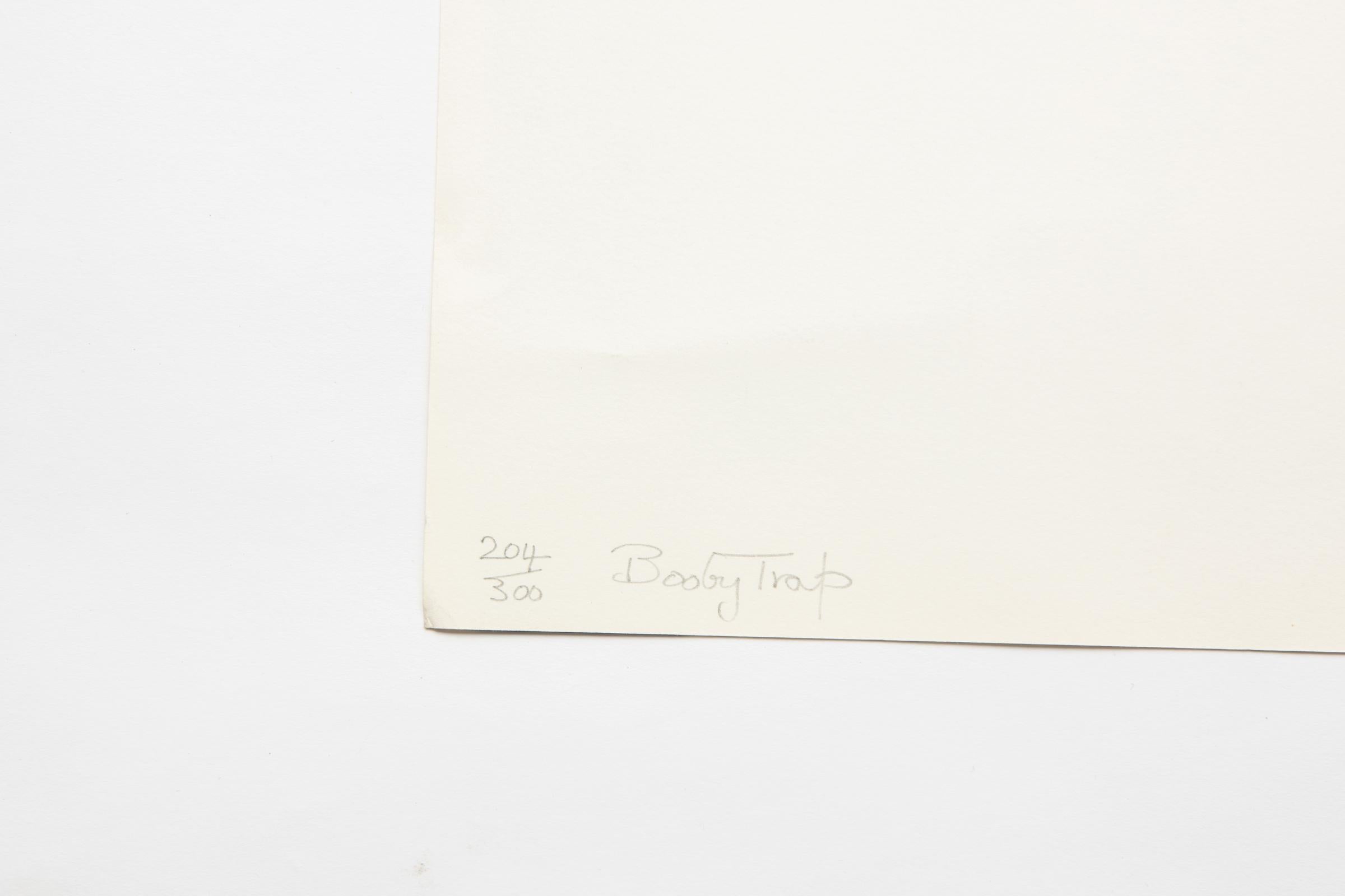 Michael Kidner „Booby Trap“ Op-Art-Fotolithographie „Booby Trap“ The Elastic Membrane 1979 im Zustand „Gut“ im Angebot in New York, NY