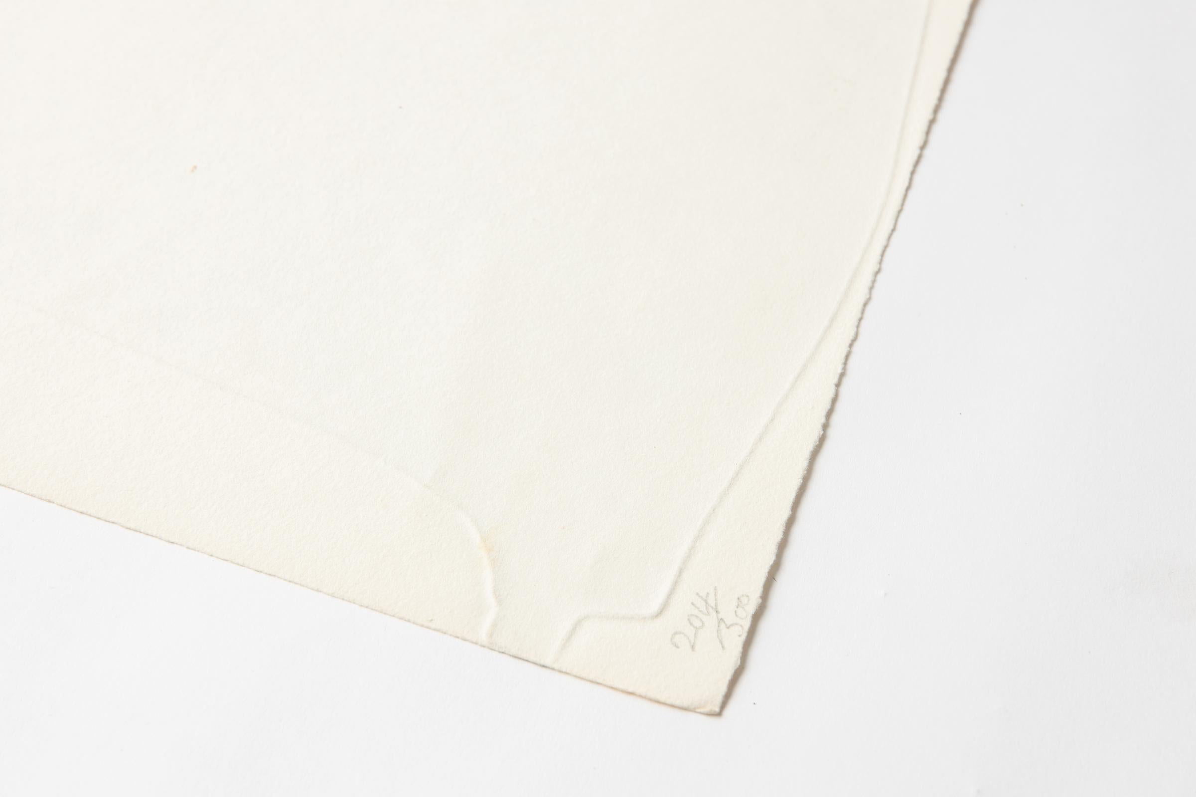 Michael Kidner Untitled Optical Art Etching From The Elastic Membrane 1979 For Sale 3