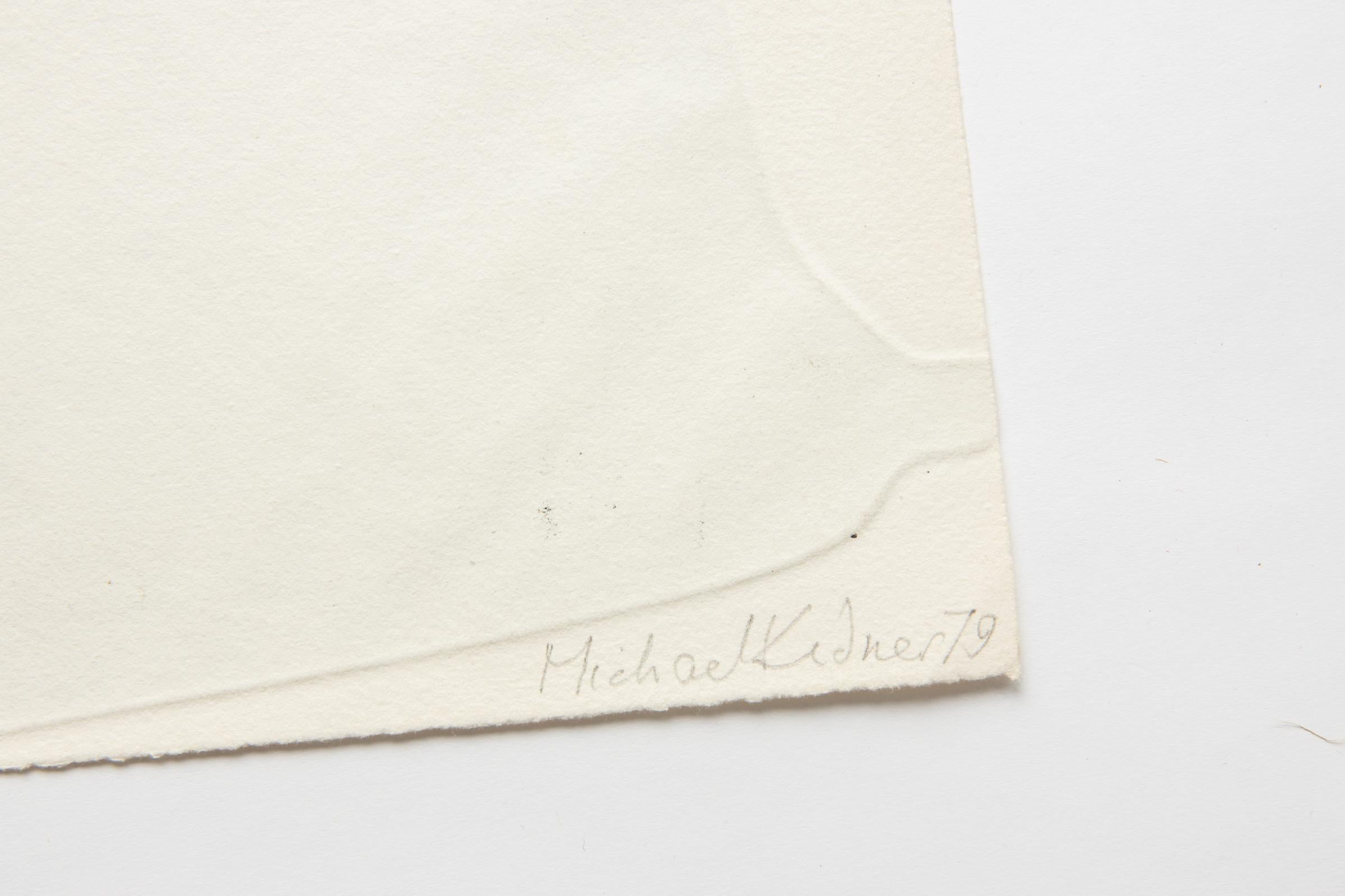Michael Kidner Untitled Optical Art Etching From The Elastic Membrane 1979 For Sale 1
