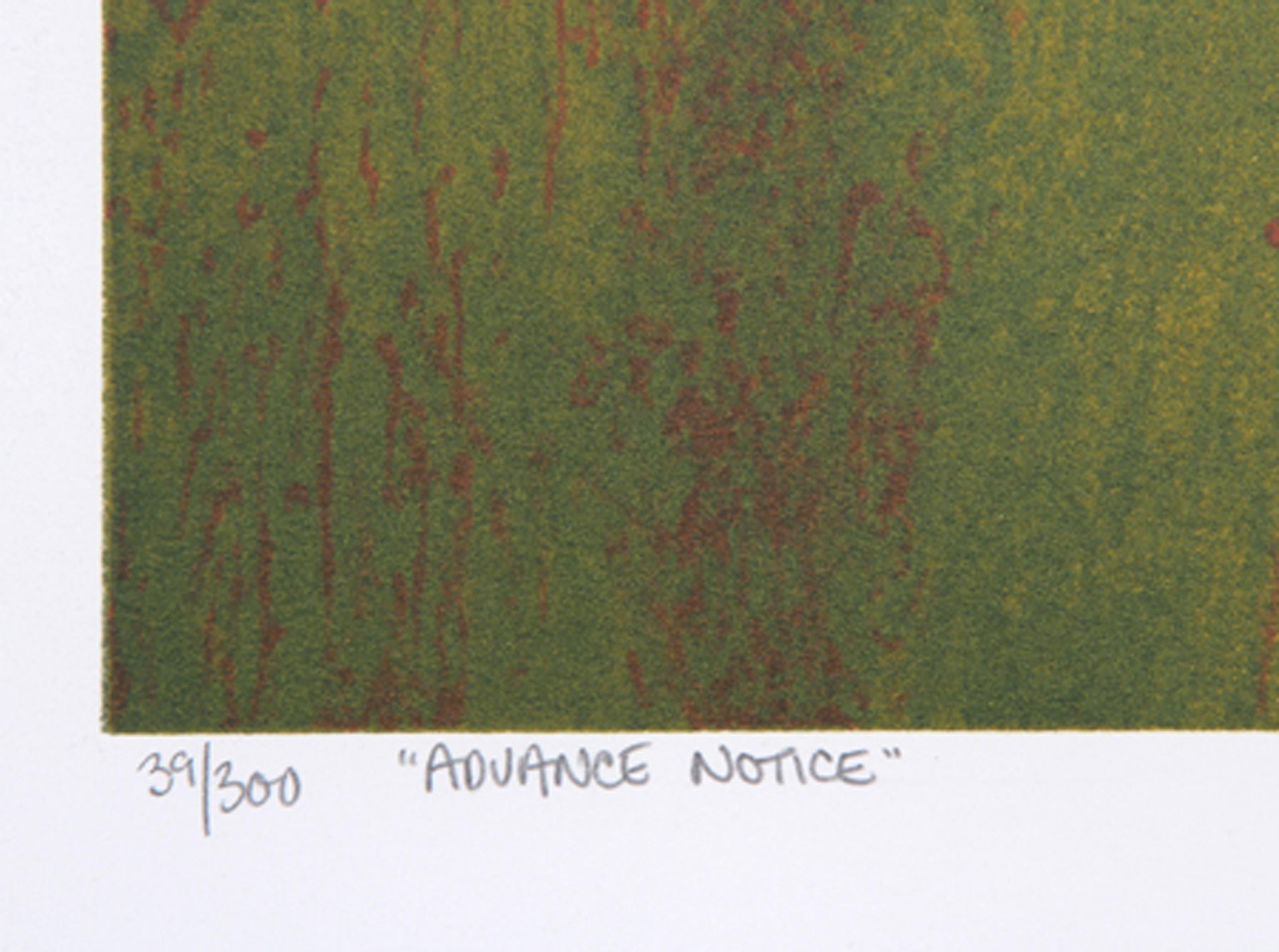 Advance notice, Nude Art Screenprint by Michael Knigin For Sale 2