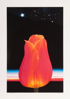 Oro antiguo, impresión de pigmento de archivo de arte pop de Michael Knigin
