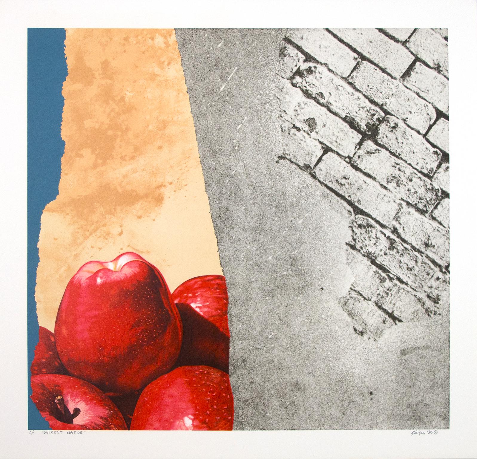 "Boldest Native" is an original color lithograph by Michael Knigin. This piece features a pile of apples with abstract textures. The artist signed the piece lower right and titled it lower left. This piece is an artist's proof. 

19" x 19 1/2"