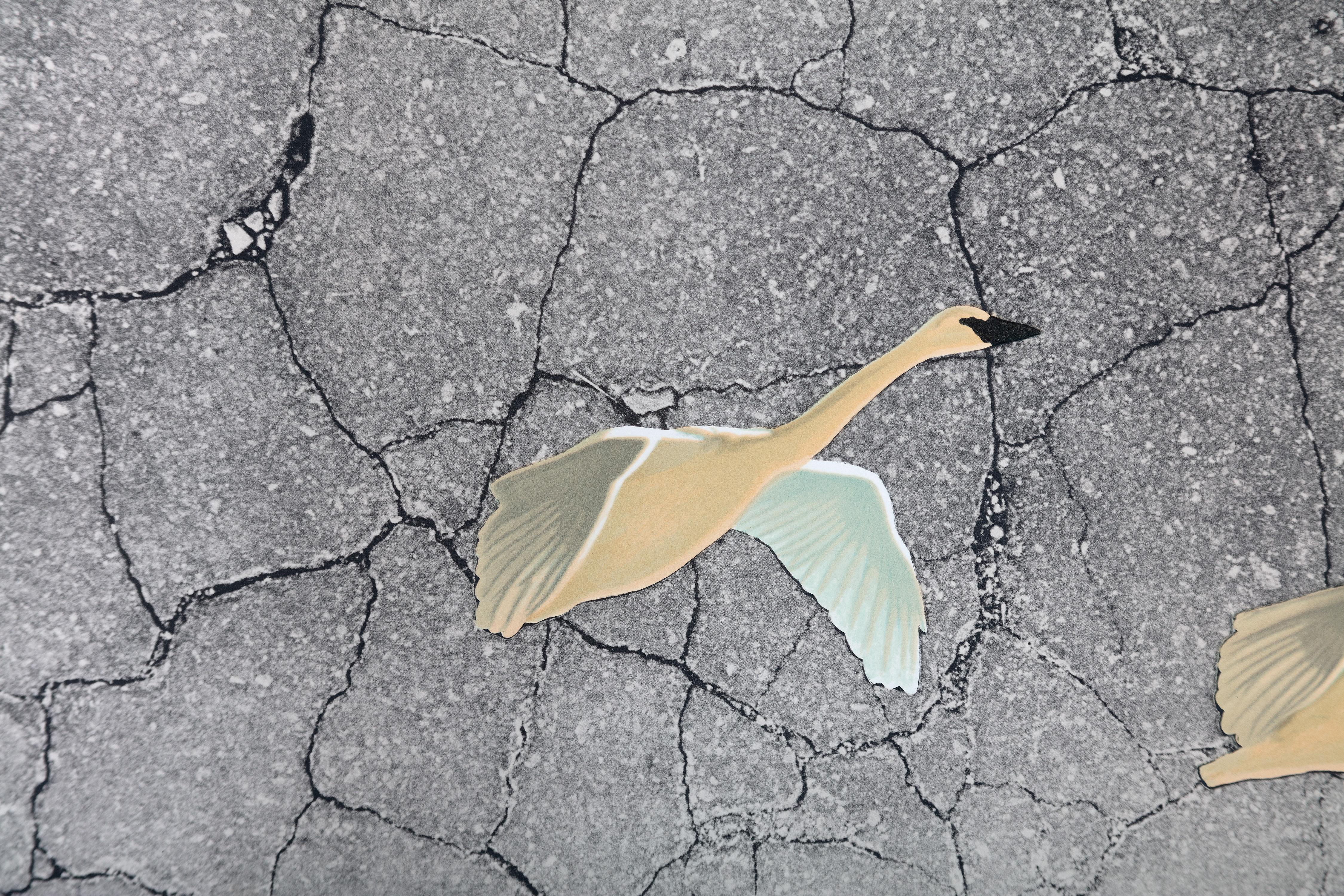Originallithographie „Brave Venture“ signierte Pop-Art dystopische dunkle abstrakte Vögel – Print von Michael Knigin