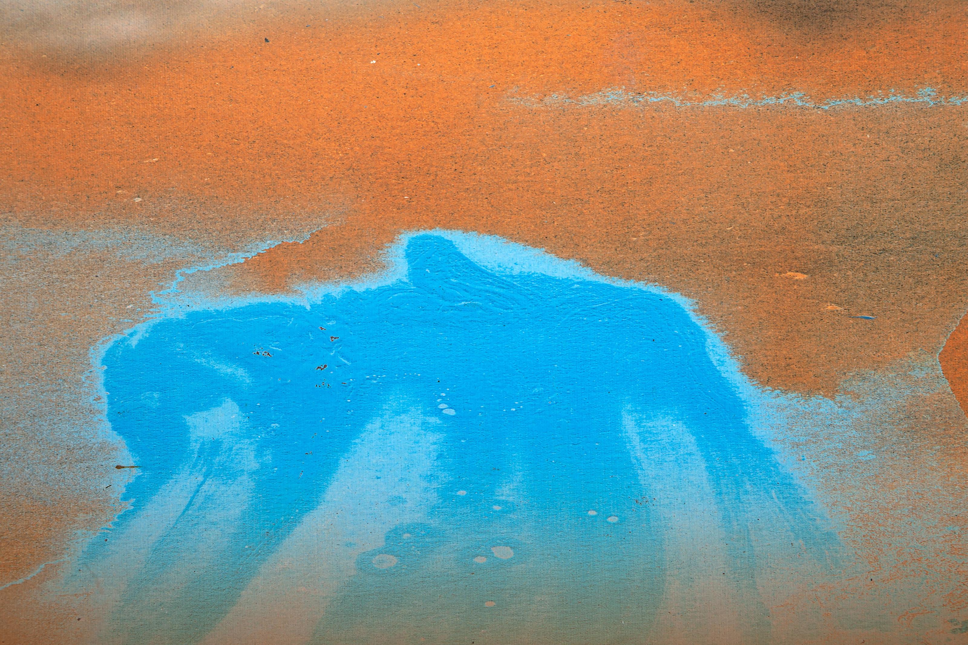 Effect Unknown, Pop Art Chromogenic Print on Canvas by Michael Knigin For Sale 1