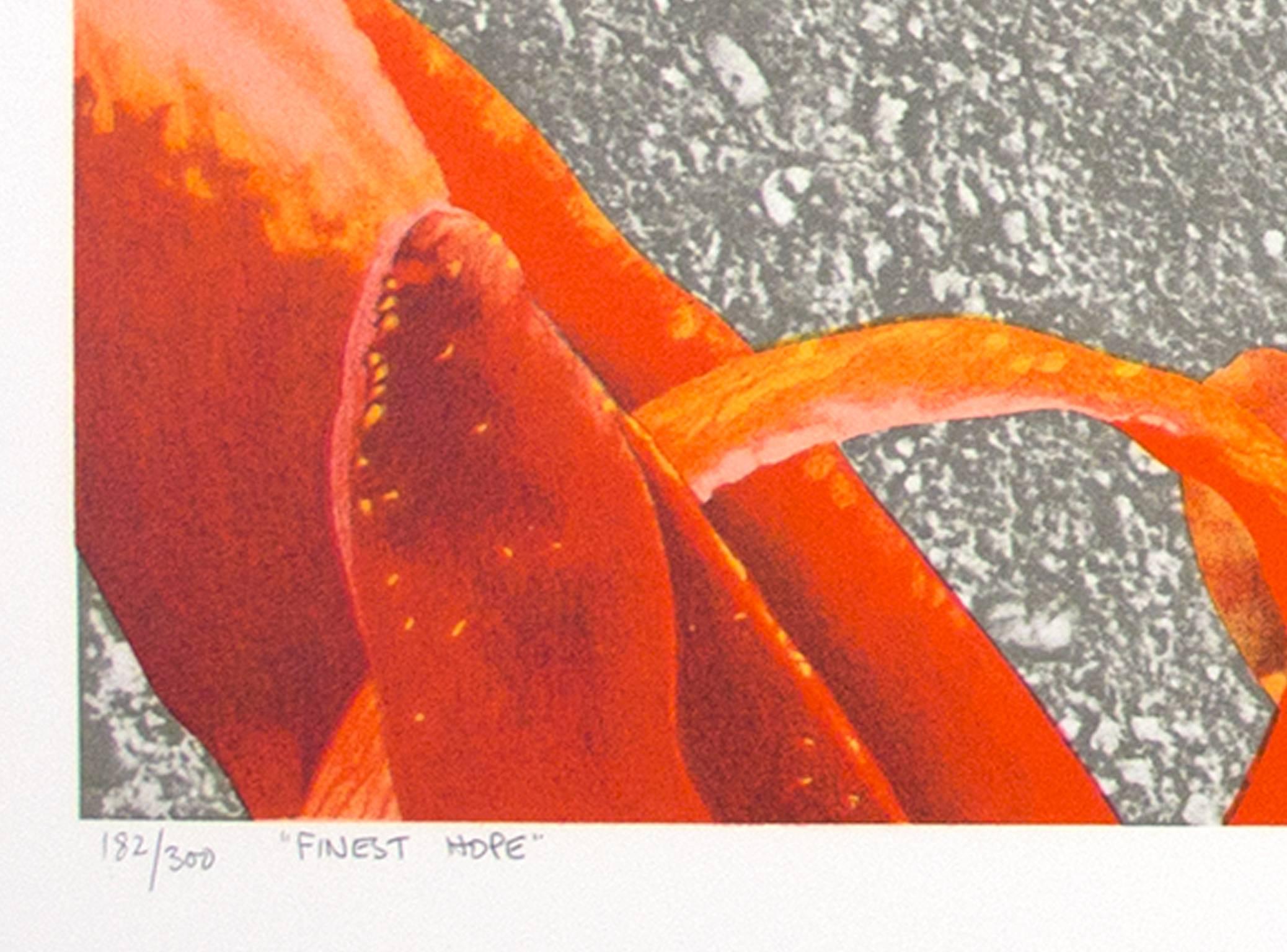 « Fine Hope », lithographie originale signée pop art abstrait hyperréalisme collage - Réalisme Print par Michael Knigin