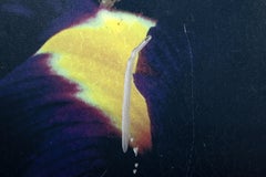 Forbidden Goal, Modern Chromogenic Print and Acrylic on Canvas by Michael Knigin