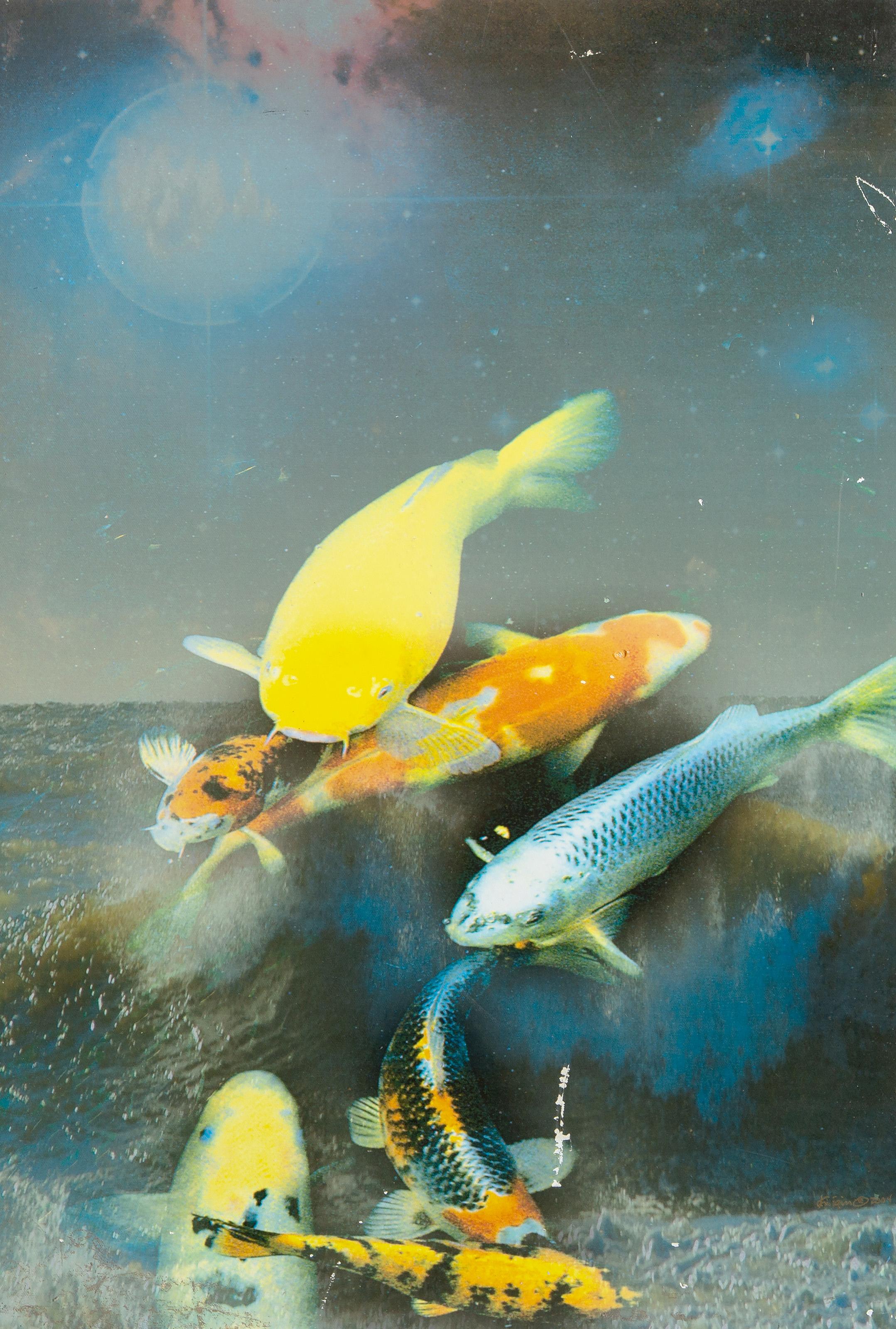  Michael Knigin, American (1942 - 2011) -  Genesis LIV, Year: 2004, Medium: Chromogenic Print on Canvas mounted to board, signed, titled, numbered and dated on verso, Edition: 3/30, Size: 31 x 21 in. (78.74 x 53.34 cm) 
