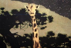 Giraffe in Space, Pop Art Chromogenic Print on Canvas by Michael Knigin