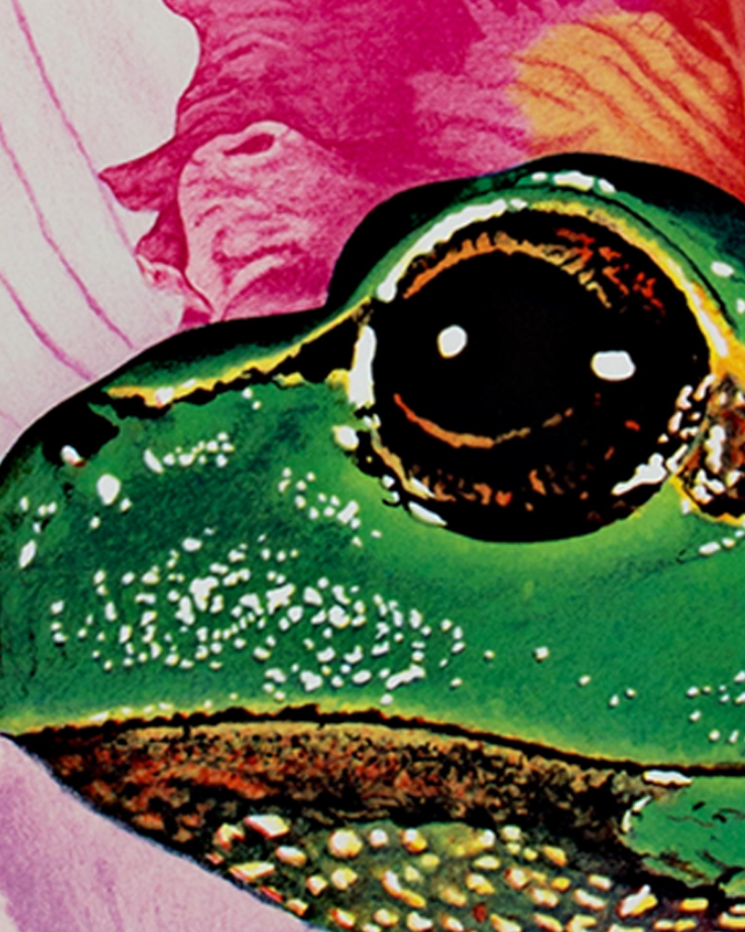 «yal To Me », lithographie originale pop art bright Frog signée par Michael Knigin en vente 3