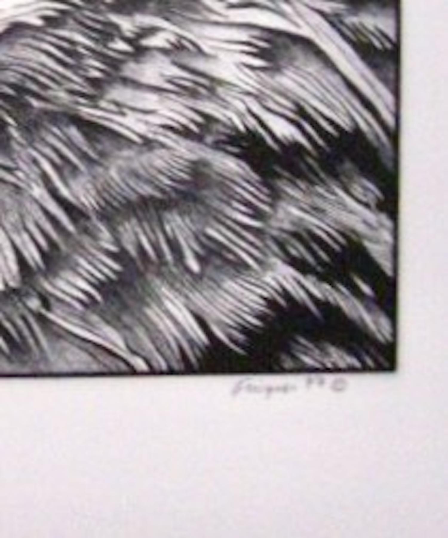 Michael Knigin, Golden Eagle, 1979, lithograph For Sale 4