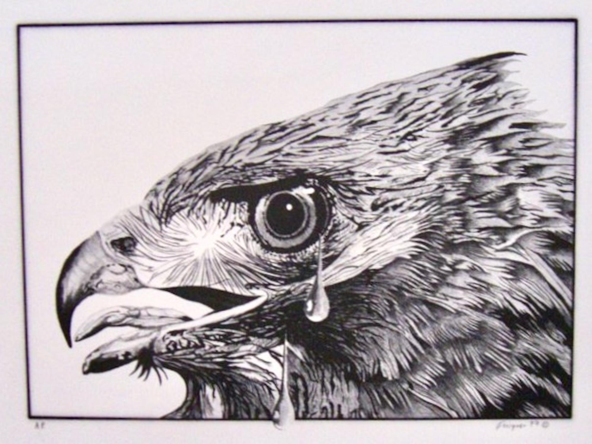 Michael Knigin, Águila real, 1979, litografía