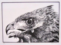 Michael Knigin, Águila real, 1979, litografía