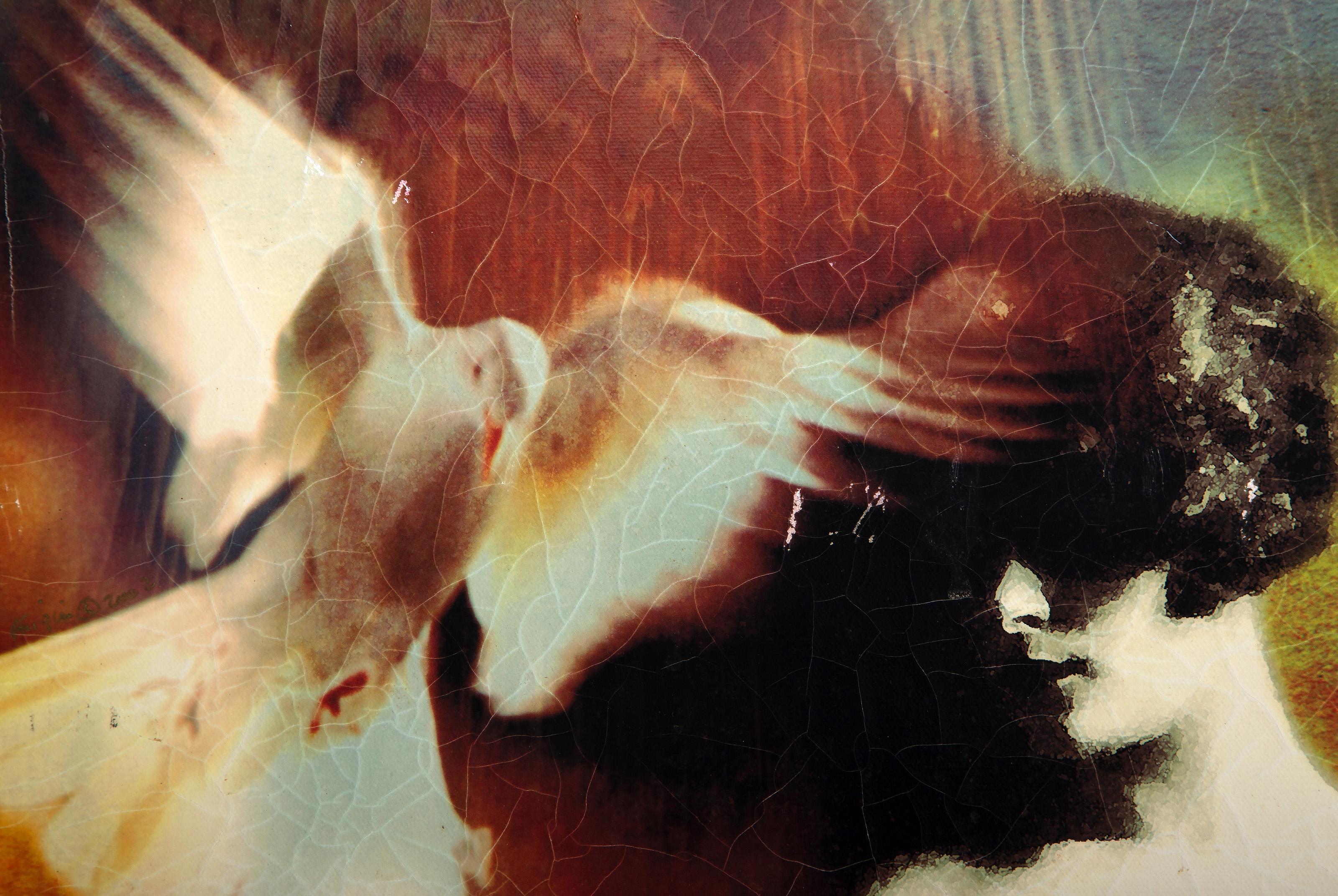 On Her Merits II, Pop Art Chromogenic Print on Canvas by Michael Knigin For Sale 1