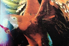 Parrots in Flight, Modern Chromogenic Print on Canvas by Michael Knigin