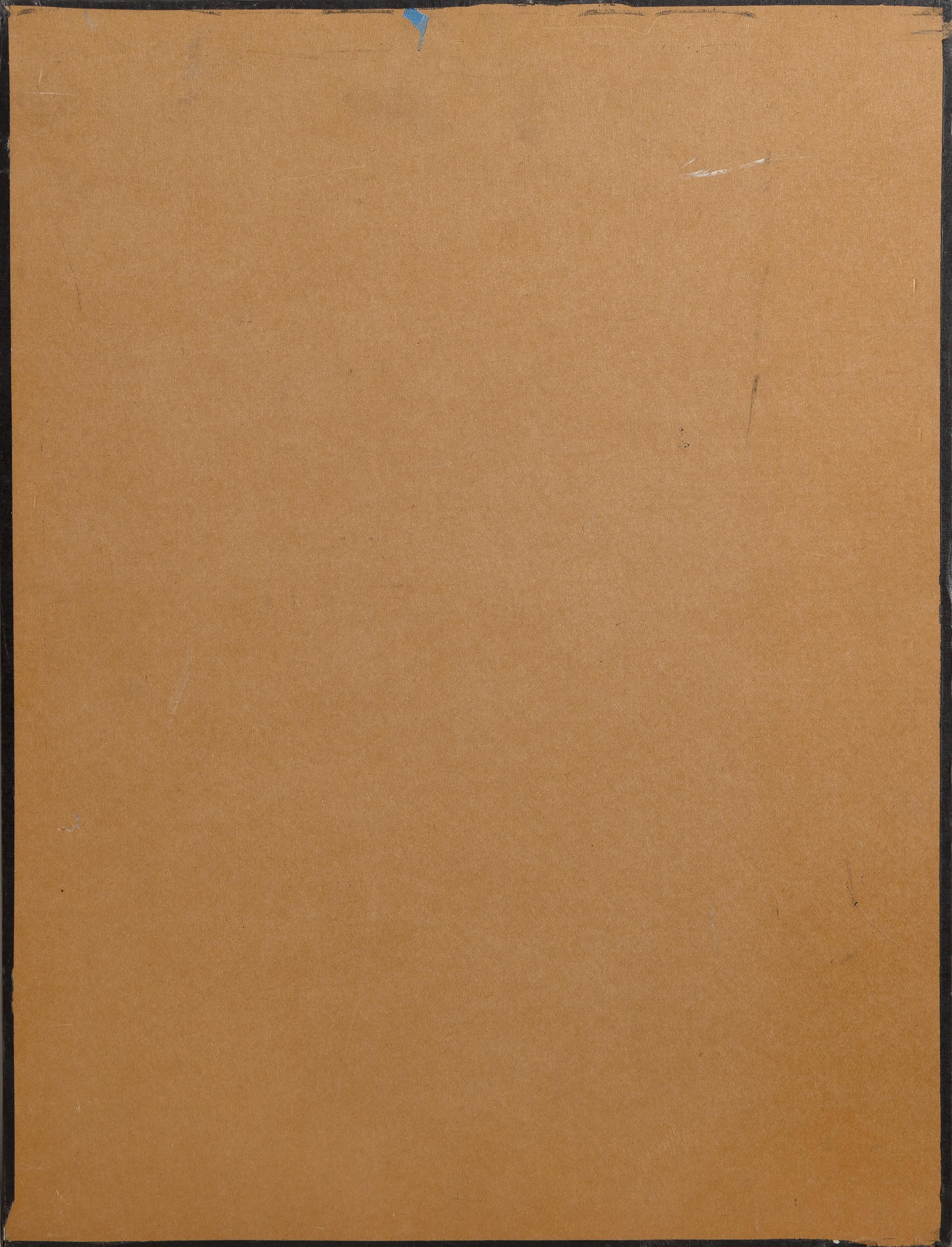 Perroquets en vol, impression chromogène moderne sur toile de Michael Knigin en vente 3