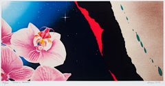 Lithographie originale signée Pop Art Floral Abstract Galaxy Space Celestial Bright