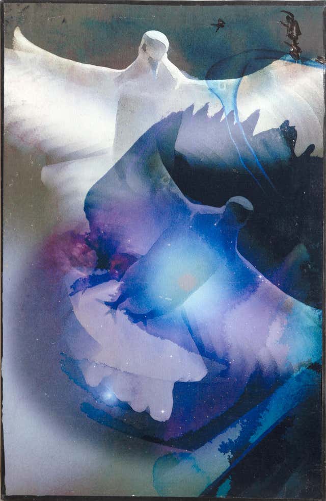 Michael Knigin - Parrots in Flight, Modern Chromogenic Print on Canvas ...