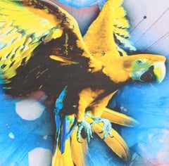 World Contender II, Mixed Media and Digital Print by Michael Knigin