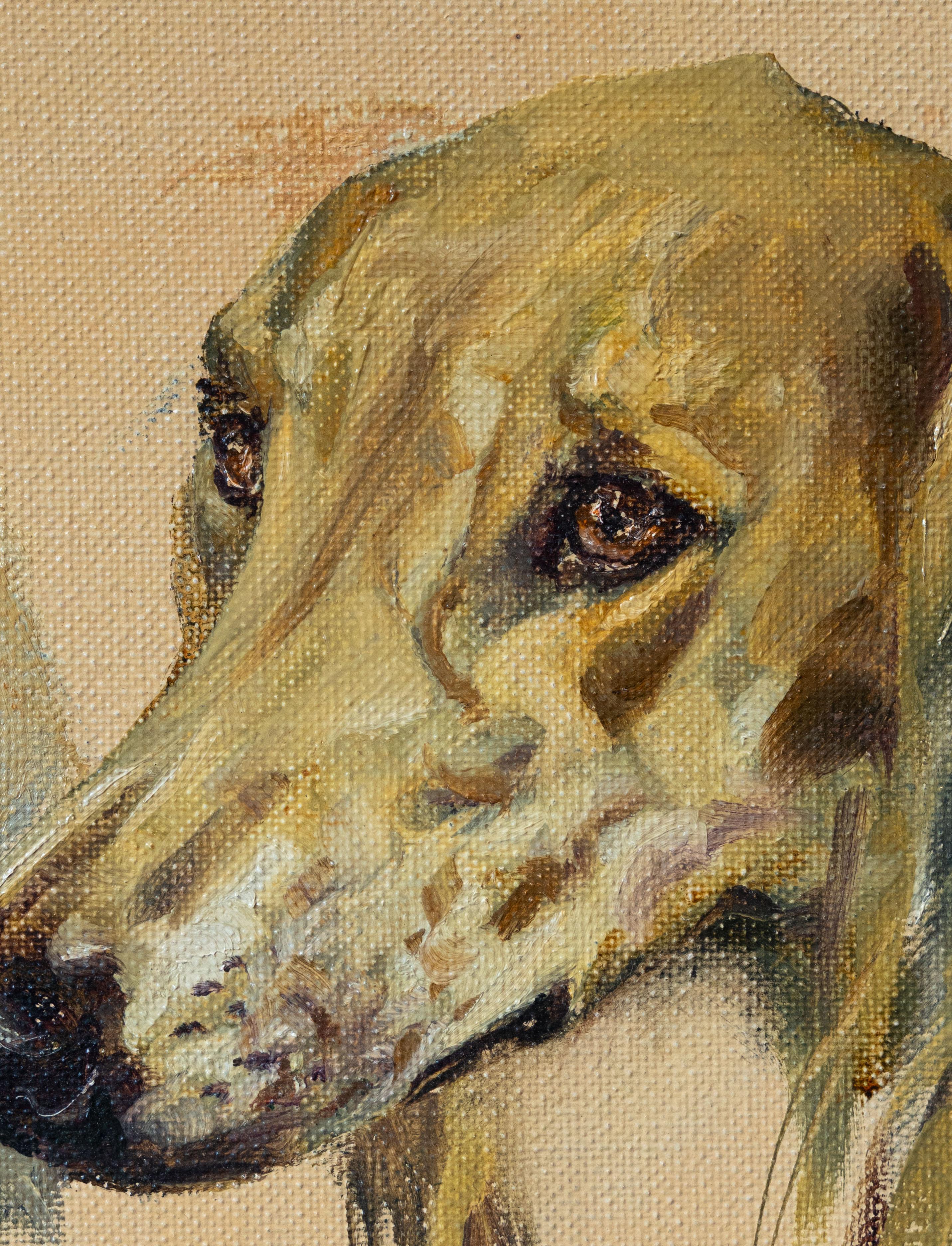 Vier Studien über Saluki-Hunde im Angebot 1