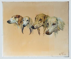 Vintage Four studies of Saluki dogs