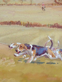 Hunting over open ground. Fox hunting