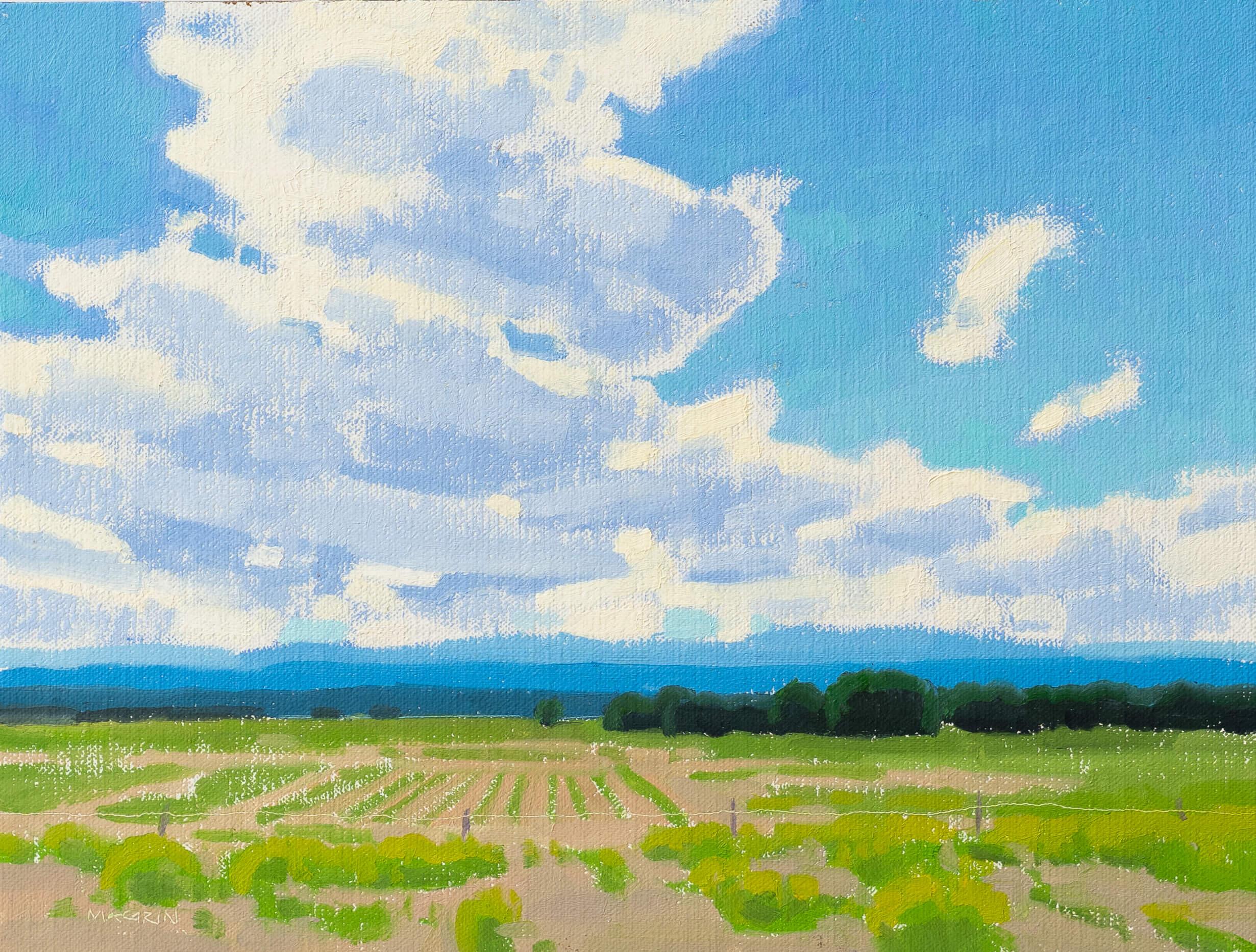 Sky Paintings