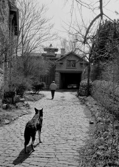 Benton walking dog (Thomas Hart Benton Plate #6)