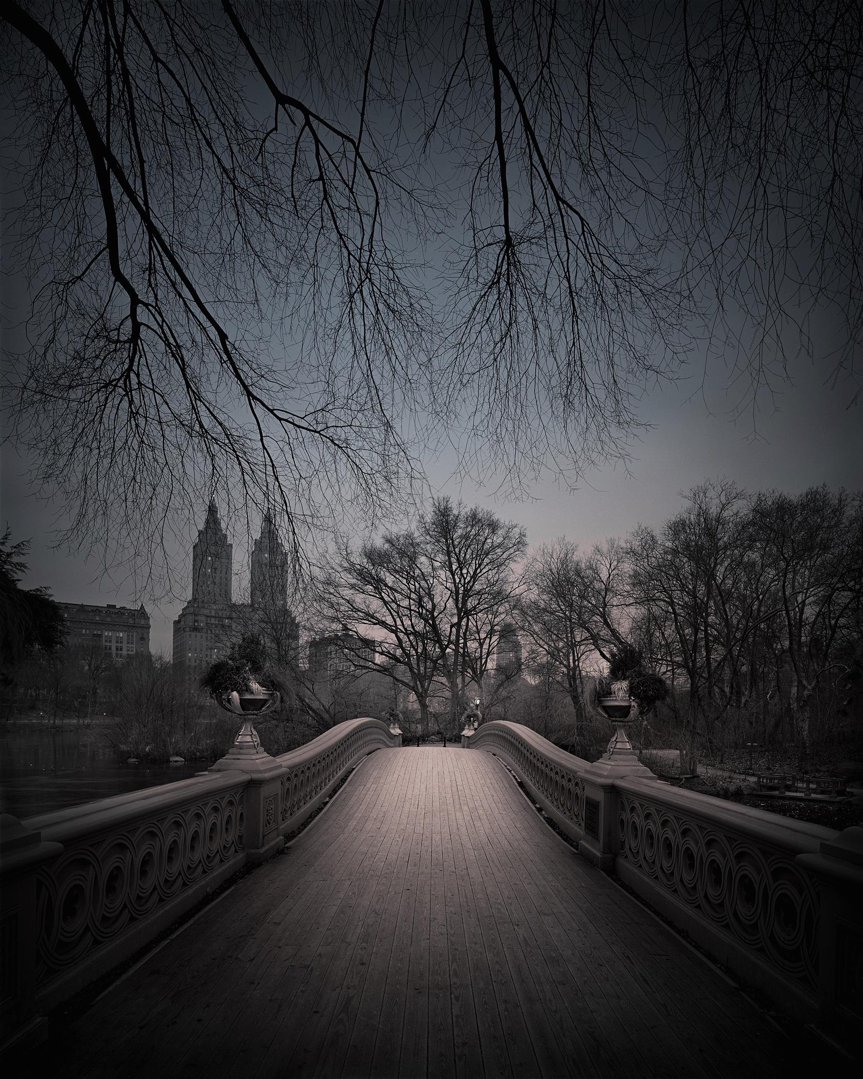 Michael Massaia Black and White Photograph - Bow Bridge, Looking North, predawn, Central Park, New York City, 2019