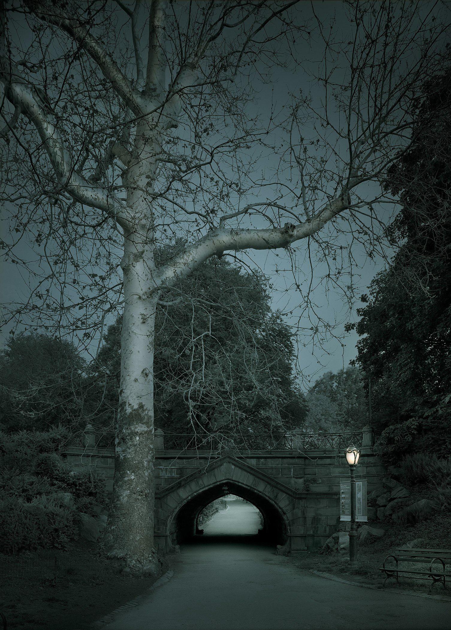 Michael Massaia Black and White Photograph - Greywacke Arch, Predawn, 2020