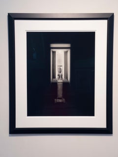 Last Light - selenium toned gelatin silver contact print