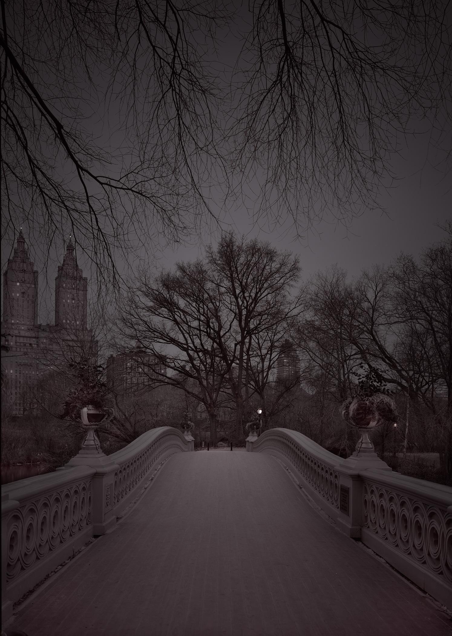 Michael Massaia, Bow Bridge #, Central Park, New York City, 2018, Image size approx: 22 x 28", Matted: 28 x 36", Triple gold toned gelatin silver print mounted to archival museum board and matted, Edition of 20, Signed and editioned on print recto.