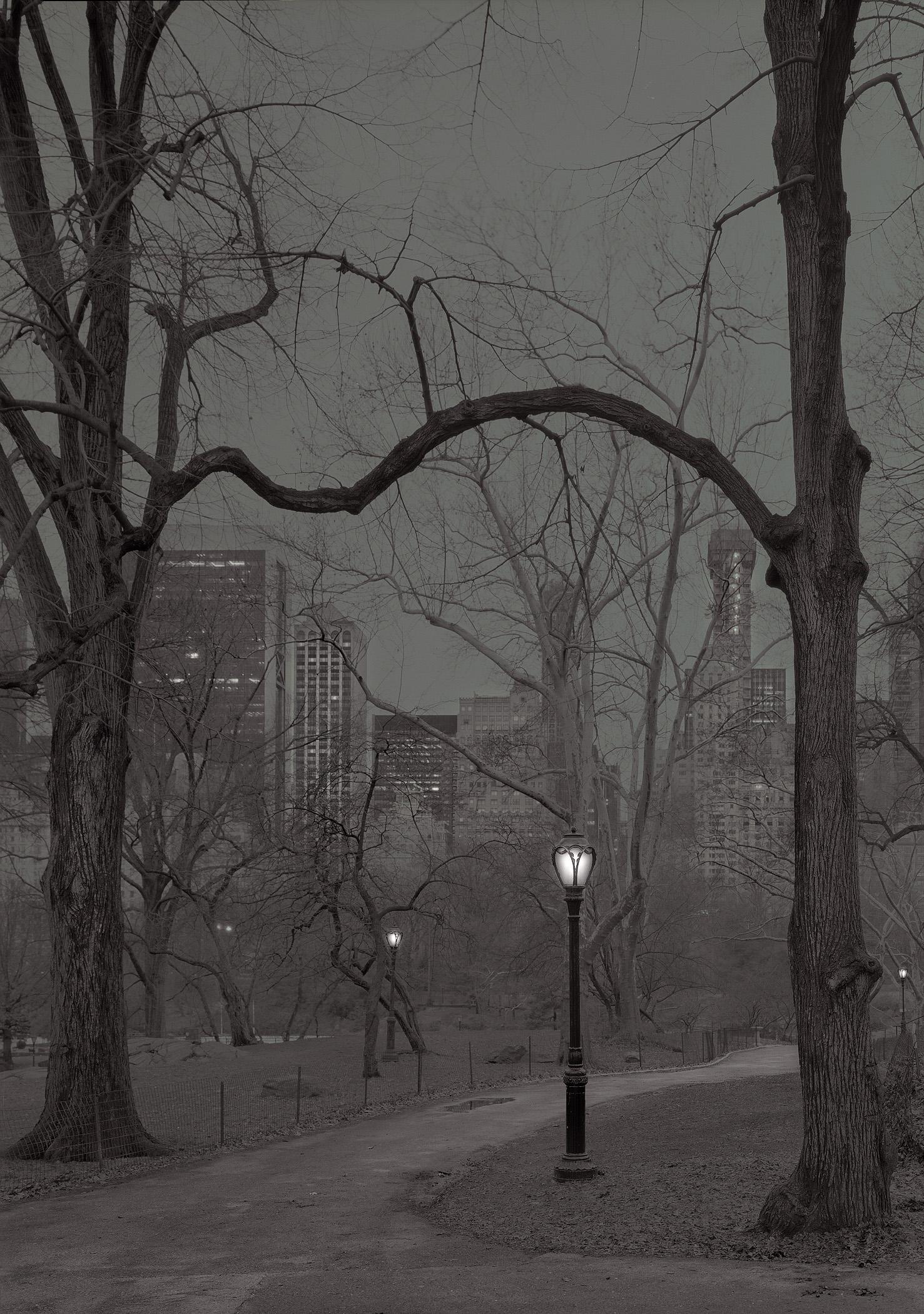 Michael Massaia, Central Park, New York City, 23rd Hour, Looking South, 2018, Image size approx: 28 x 22", Selenium and gold toned gelatin silver print mounted to archival museum board and matted, Edition of 20, Signed and editioned on print recto.