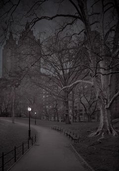 Michael Massaia. Central Park, New York City, Nightfall, Eldorado, 2018