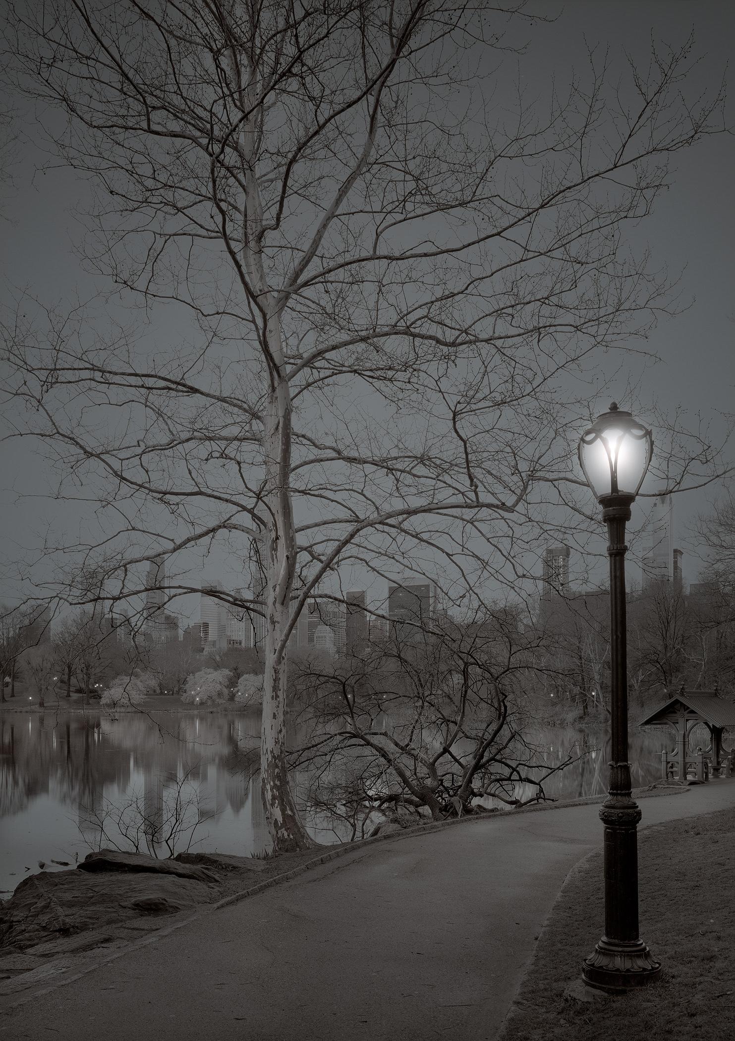 Michael Massaia, Central Park, New York City, The End 2, First Light, 2018, Image size: 27.25 x 19.25". Matted: 36 x 28", Selenium and gold toned gelatin silver print mounted to archival museum board and matted, Edition of 20, Signed and editioned