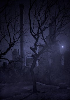 Michael Massaia. Drop the Sun, Central Park, New York City, 2019